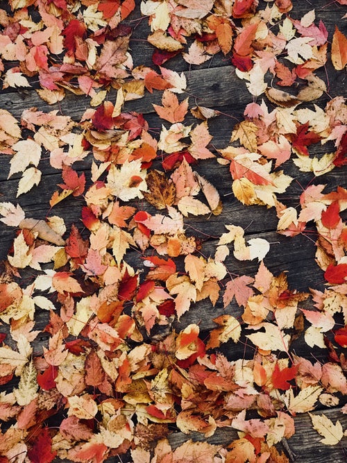 Как Подписать Фото В Инстаграме Осенью Красиво